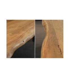 Invicta Interior Ławka ARKTYKA Mammut X 200 Cm drewno akacja honey