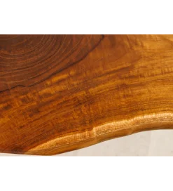 Invicta Interior - przedsprzedaż Ławka ROOT 100 cm drewno teak naturalny brąz