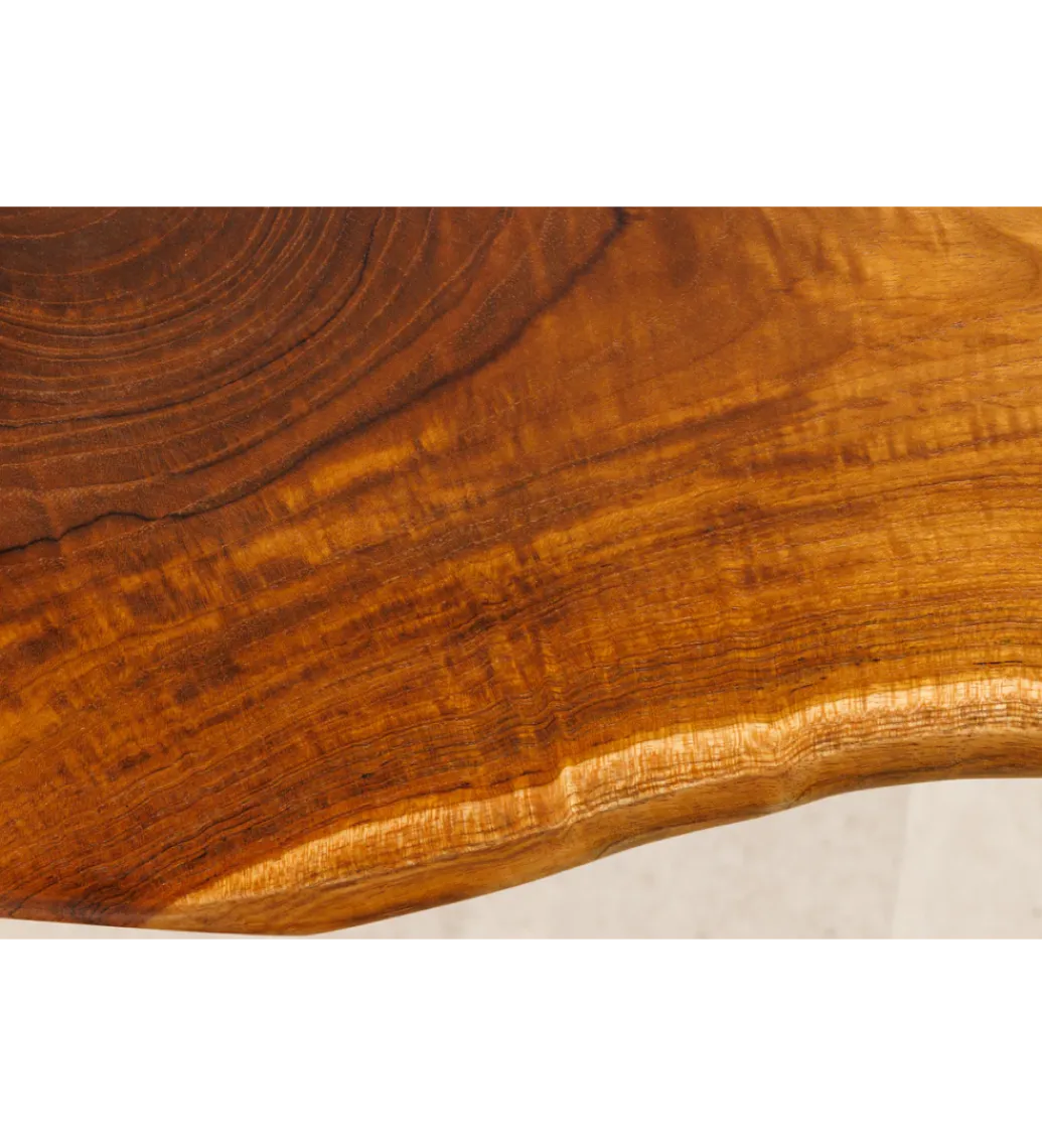 Invicta Interior - przedsprzedaż Ławka ROOT 100 cm drewno teak naturalny brąz
