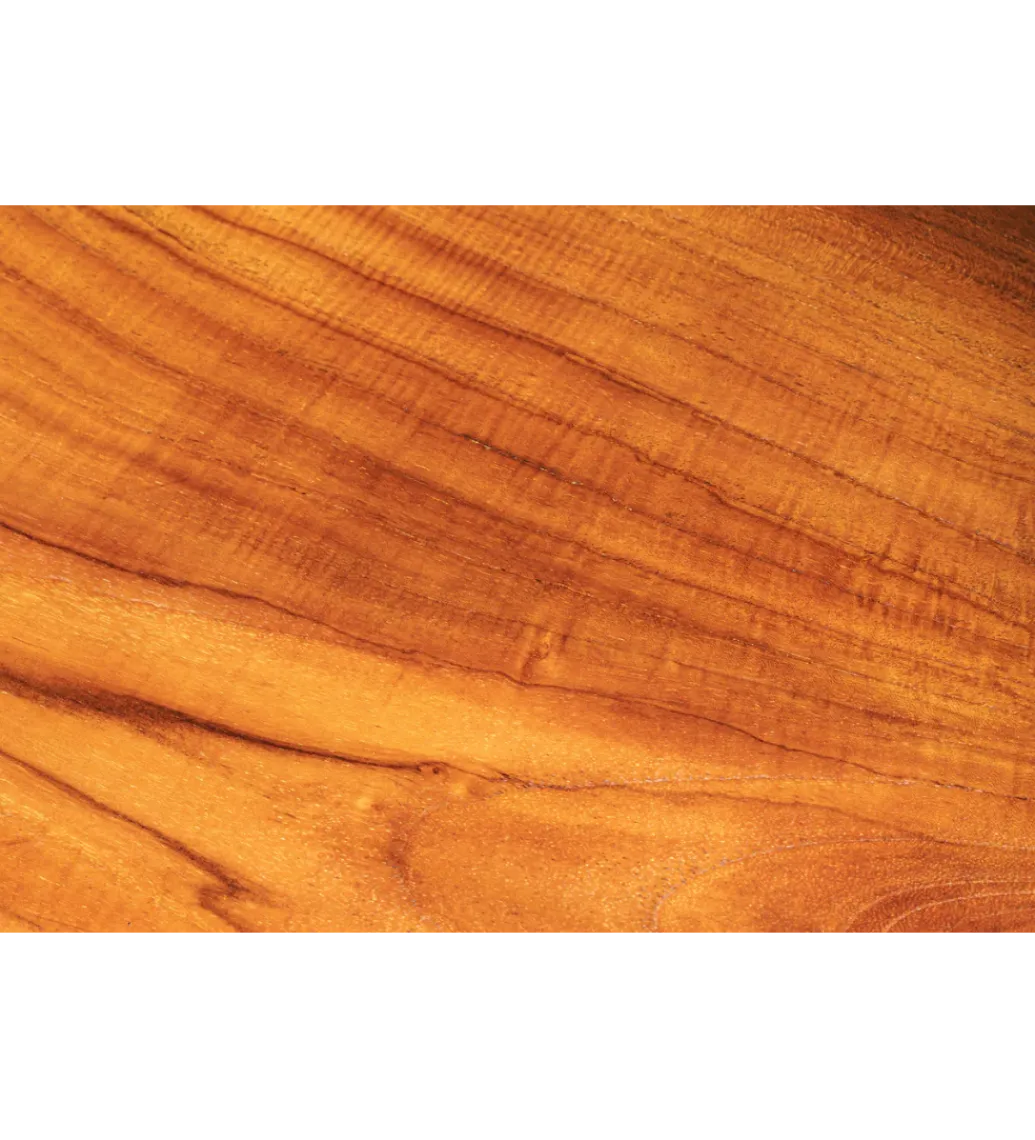 Invicta Interior Ławka ROOT 100 cm drewno teak naturalny brąz