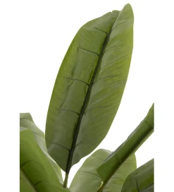 J-Line Drzewko sztuczne BANANOWIEC 250 cm