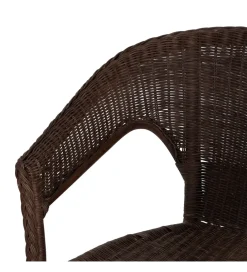 Zona-Design Fotel KERRI ratan ciemny brąz
