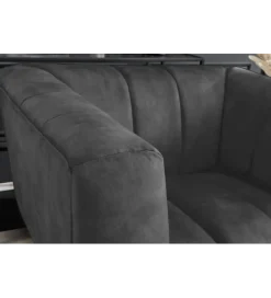 Invicta Interior Fotel NOBLESSE aksamit szary