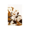 KARE Fotel obrotowy CUTIE COW 85 cm