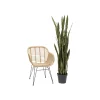 KDesign Kwiat sztuczny Sansewieria 155 cm