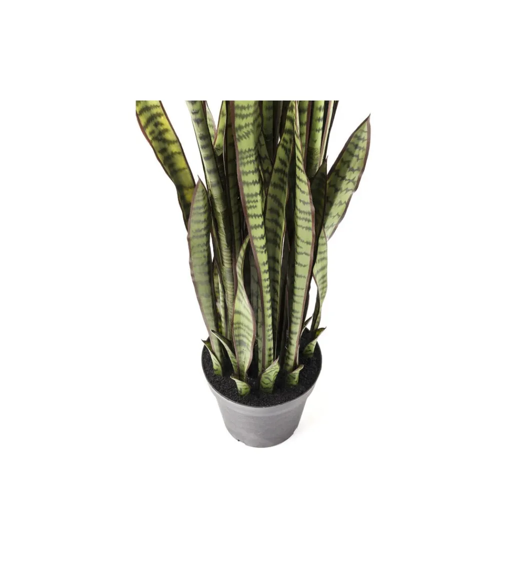 KDesign Kwiat sztuczny Sansewieria 155 cm
