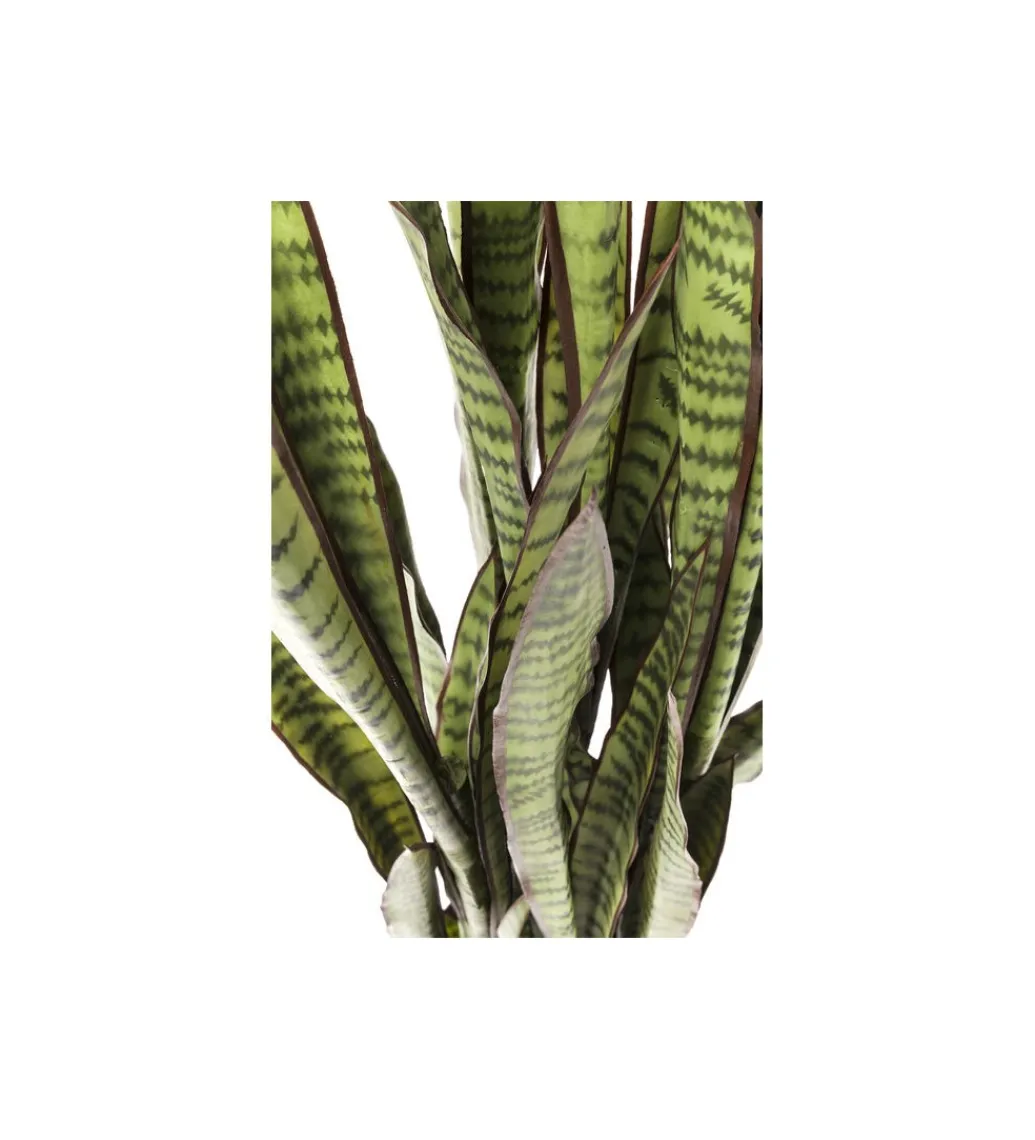 KDesign Kwiat sztuczny Sansewieria 155 cm
