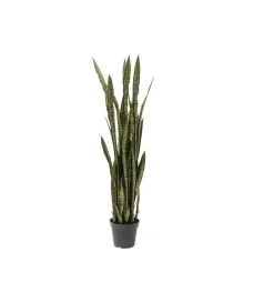 KDesign Kwiat sztuczny Sansewieria 155 cm