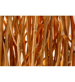 Invicta Interior Lampa podłogowa Parave 180 cm longan naturalna