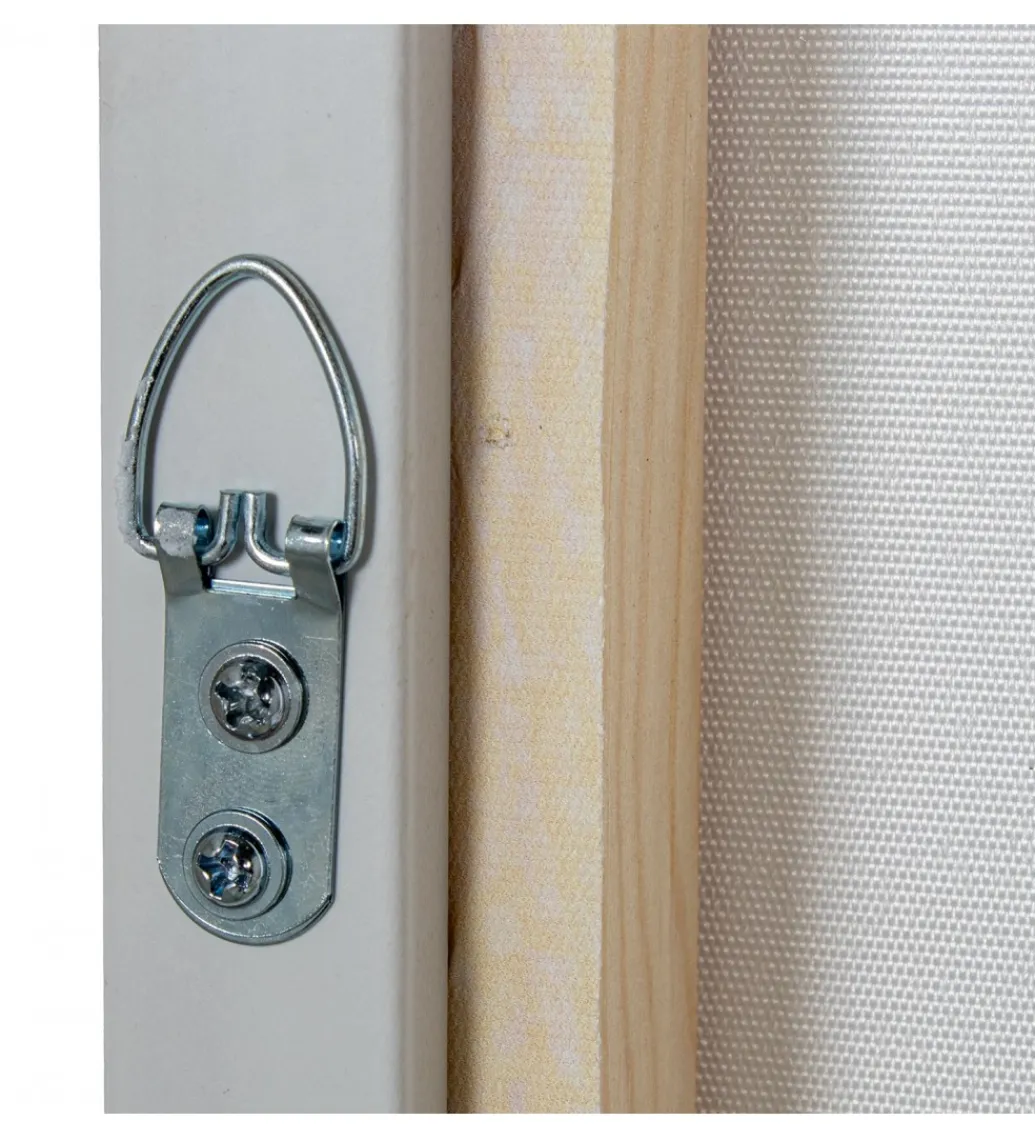 Exclusivas Obraz FRAME 80 x 120 cm