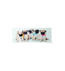 Dzieci KDesign Obraz Girls&Boys 30 cm x 80 cm Assorted
