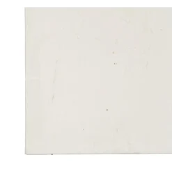 Zona-Design Obraz KWIATY 80 x 100 cm czarnobiały