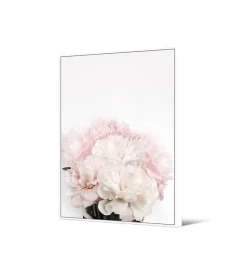 Zona-Design Obraz Piwonie 102 cm x 142 cm