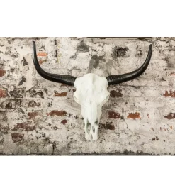Invicta Interior Ozdobna czaszka El Toro 70 cm biały czarny