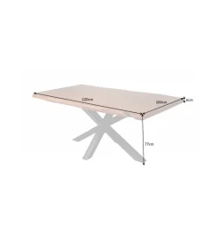 Invicta Interior Stół Nature SPIDER galaxy 220 cm drewno akacja na nogach pająk krzyżak