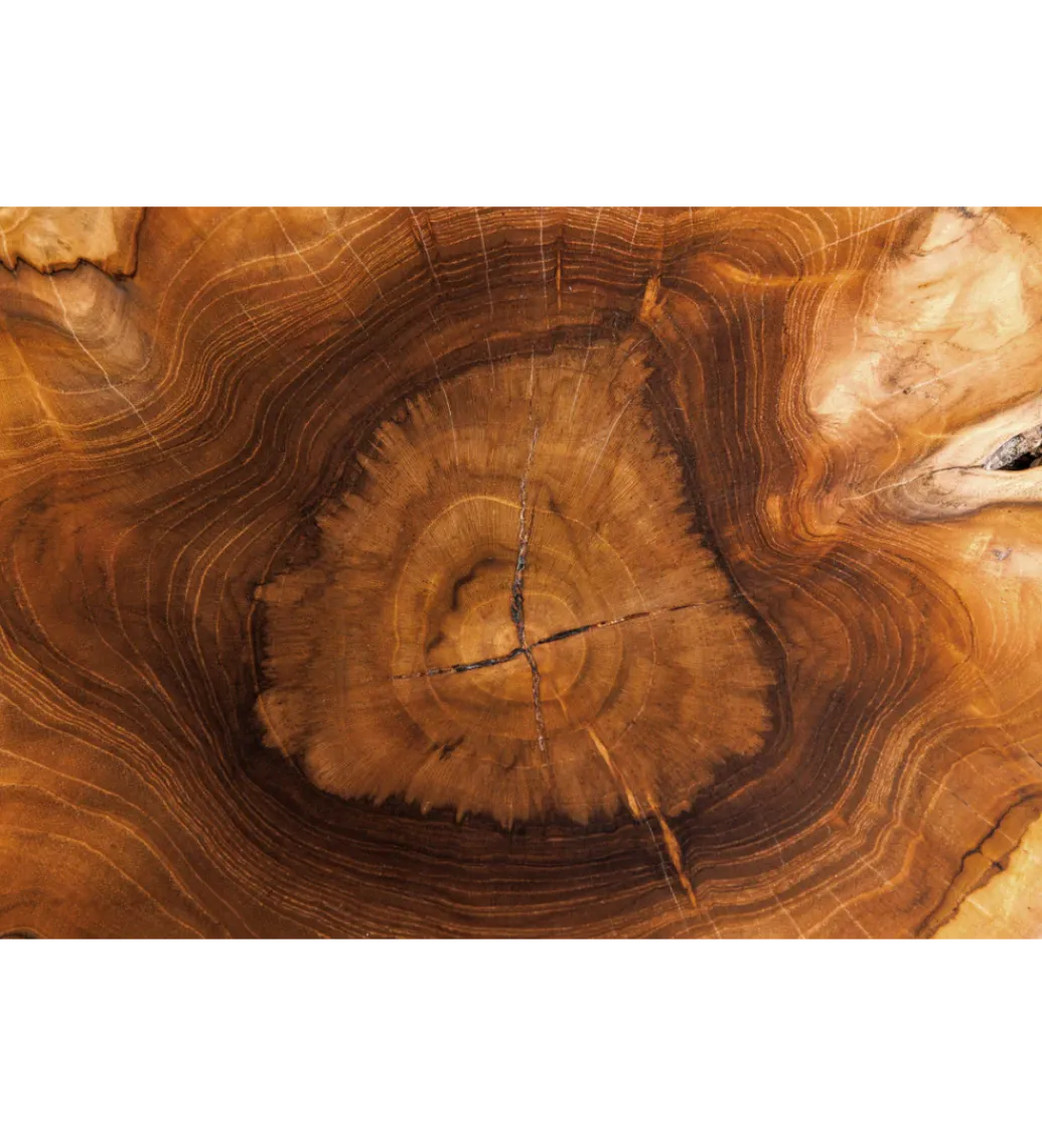 Invicta Interior - przedsprzedaż Stolik kawowy ROOT 70 cm drewno teak naturalny