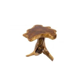 Invicta Interior Stolik kawowy Root 40 cm drewno Teak