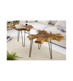 Invicta Interior Stolik kawowy Wild Teak