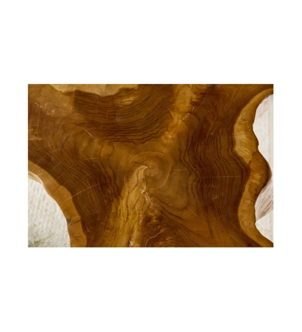 Invicta Interior Stolik kawowy Wild Teak
