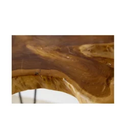 Invicta Interior Stolik kawowy Wild Teak