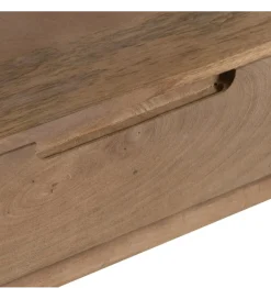 Zona-Design Stolik pod TV BURNIE drewno mango