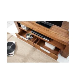 Invicta Interior Stolik pod TV FINICE Makassar drewno Sheesham