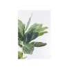 KDesign Sztuczna roślina CALATHEA 140 cm