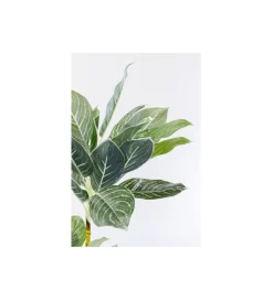 KDesign Sztuczna roślina CALATHEA 140 cm