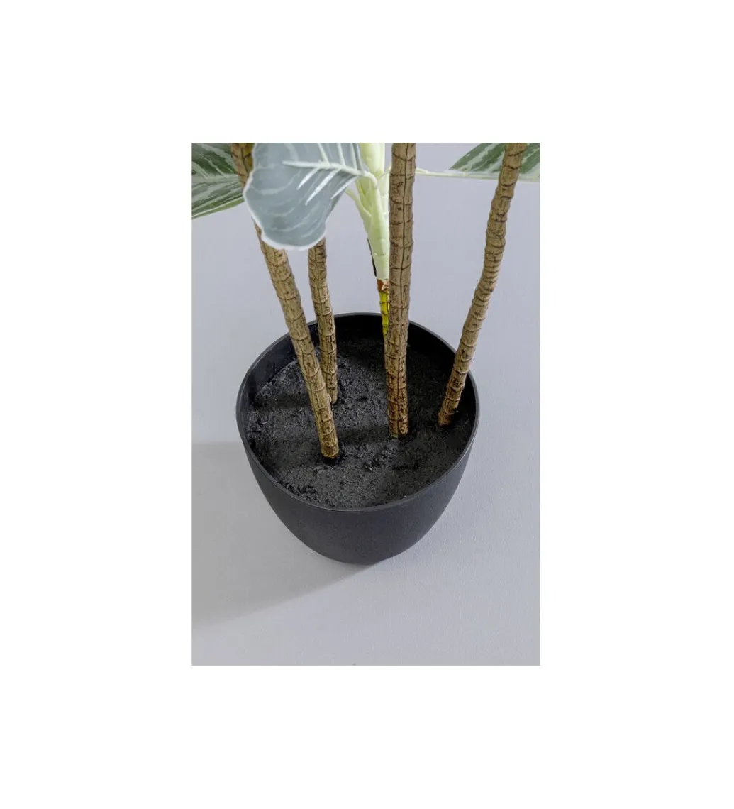 KDesign Sztuczna roślina CALATHEA 140 cm