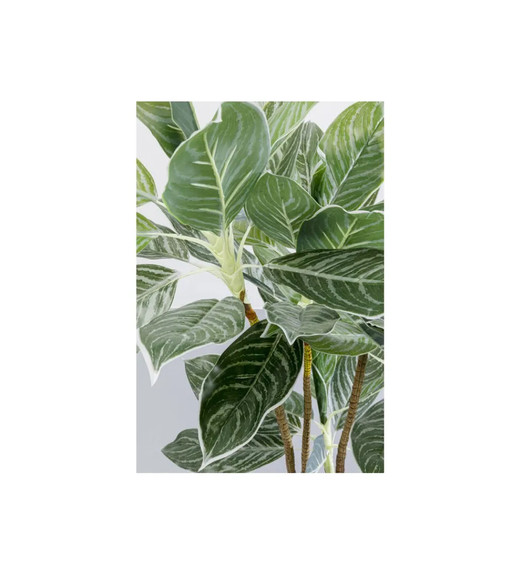 KDesign Sztuczna roślina CALATHEA 140 cm