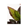 KDesign Sztuczna roślina CANNA LILY 115 cm