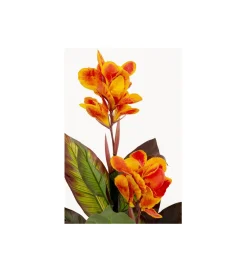 KDesign Sztuczna roślina CANNA LILY 115 cm