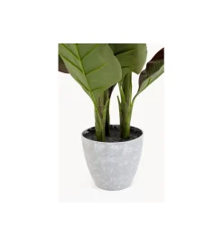 KDesign Sztuczna roślina CANNA LILY 115 cm