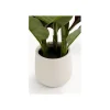 KDesign Sztuczna roślina CANNA LILY 165 cm