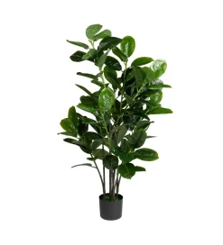 Zona-Design Sztuczna roślina CAUCHO 140 cm