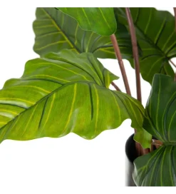 Zona-Design Sztuczna roślina COLOCASIA 130 cm