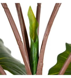 Zona-Design Sztuczna roślina COLOCASIA 130 cm