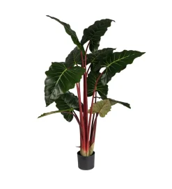 Zona-Design Sztuczna roślina COLOCASIA 160 cm