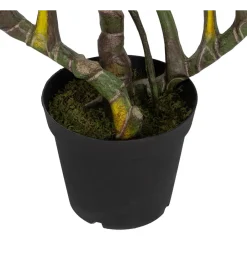 Zona-Design Sztuczna roślina COLOCASIA 185 cm