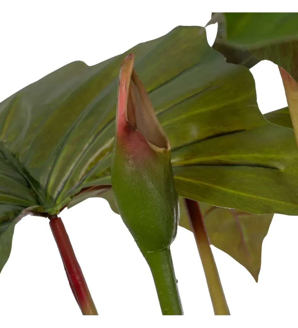 Zona-Design Sztuczna roślina COLOCASIA 185 cm