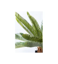 KDesign Sztuczna roślina CUCAS TREE 78 cm