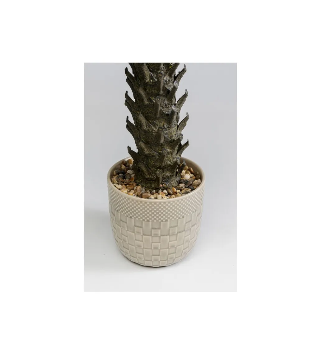 KDesign Sztuczna roślina CYCAS 70 cm
