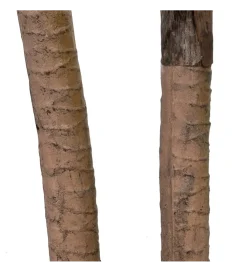 Zona-Design Sztuczna roślina DRACAENA 110 cm