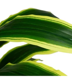 Zona-Design Sztuczna roślina DRACAENA 120 cm