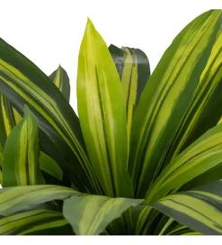 Zona-Design Sztuczna roślina DRACAENA 110 cm