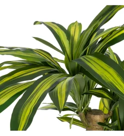 Zona-Design Sztuczna roślina DRACAENA 140 cm