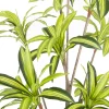 Zona-Design Sztuczna roślina DRACENA 210 cm