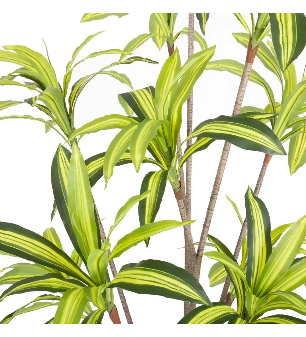 Zona-Design Sztuczna roślina DRACENA 210 cm