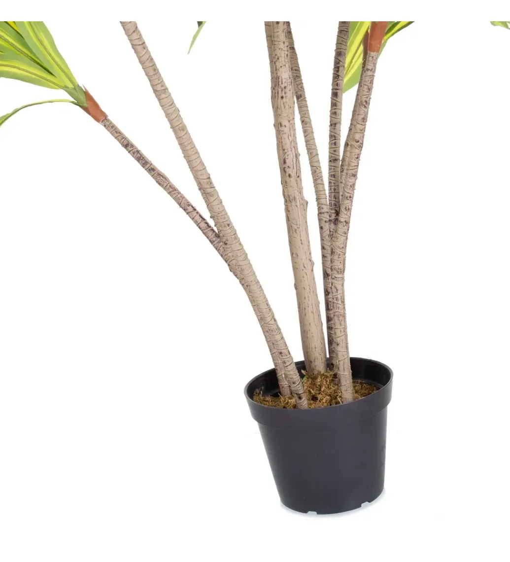 Zona-Design Sztuczna roślina DRACENA 210 cm