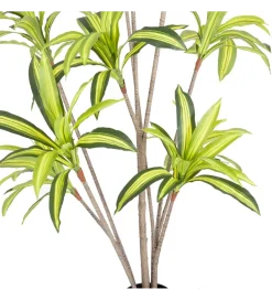 Zona-Design Sztuczna roślina DRACENA 210 cm